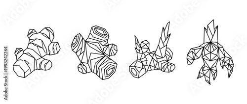 galangal , Geometric Origami line art vector set