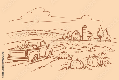Pumpkin farm harvest landscape sketch vector illustration