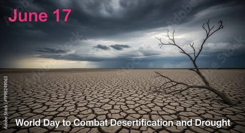 desert landscape with dry cracked earth and bare tree under stormy sky on world day to combat desertification and drought