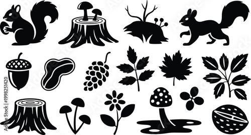 Forest woodland silhouettes squirrels acorn leaves mushrooms berries tree stumps walnut peanut flower nature eco vector illustration design