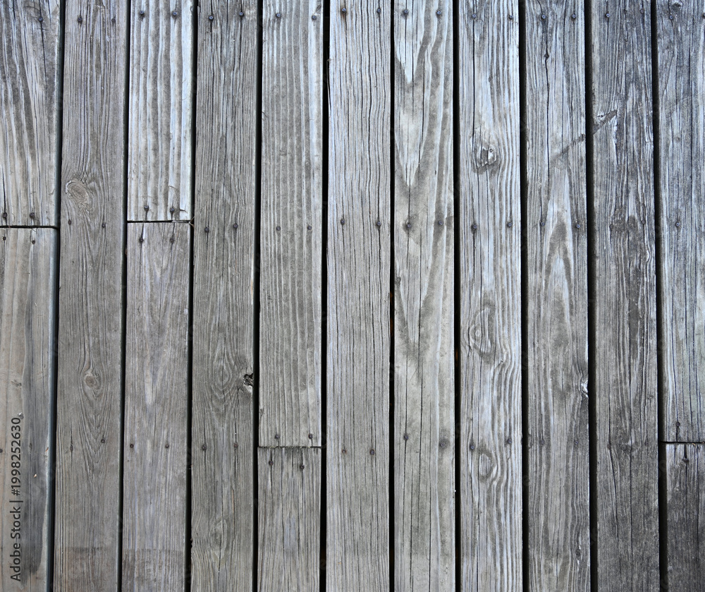 Obraz premium Weathered porch decking with natural patina wood color, strong wood grain, three rows of nails, visible gaps between boards, cracks, scratches, knots, and dried leaves