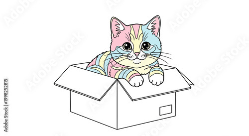 Colorful Cat Sitting in Box.