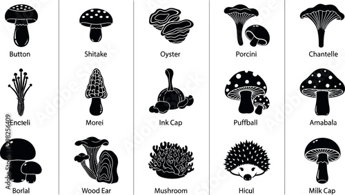 Collection of black and white representing various mushrooms and a hedgehog fungi edible poisonous