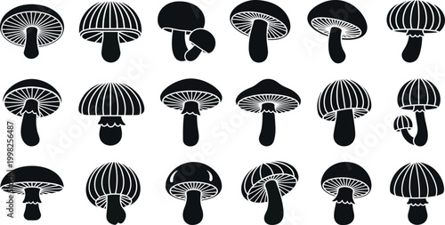 Collection of black and white stylized mushroom with various cap shapes and gills silhouette