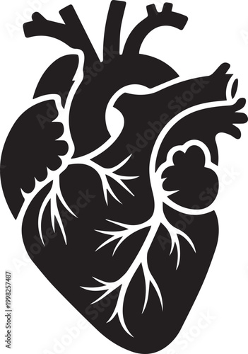 Anatomical human heart icon in cad drawing flat vector illustration style, isolated black organic organ silhouette for medical, healthcare, cardiology, and biology designs.