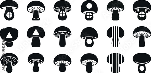 Collection of black mushroom with varied and details white