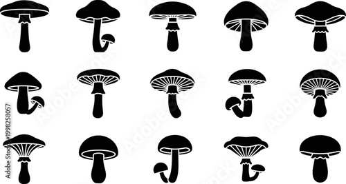 Collection of fifteen black silhouette mushroom with varied cap and stem shapes fungi white