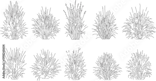 Minimalist grass line art collection, 10 botanical vector plant silhouettes, black and white meadow grass tufts for landscape design and architecture