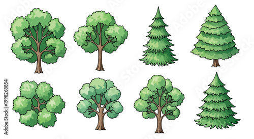 Cartoon tree vector set, green deciduous and coniferous forest trees collection, 8 nature plant icons for game design and landscape maps isolated PNG with Transparent Background
