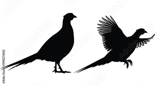Quadro su tela Two pheasants depicted in a striking dark silhouette