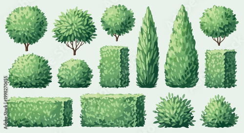 Green garden shrubs and topiary bushes collection, 13 vector plant elements for landscape design, manicured hedges and decorative garden trees isolated PNG with Transparent Background