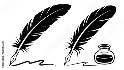 A pair of elegant black and white wing feathers with intricate patterns and downy bases displayed side by side isolated on transparent background