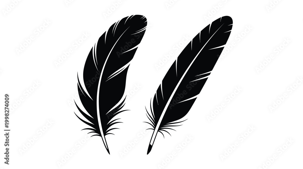 Obraz premium Two black feathers displayed against a white background silhouette