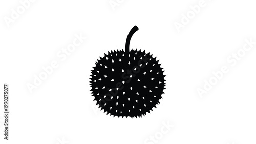 Black durian fruit with sharp spines presented as a silhouette