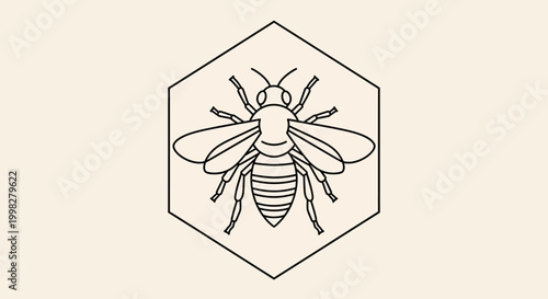 Insect Bee Drawing in Hexagon Outline.