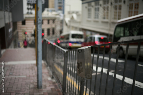 people walking in the city