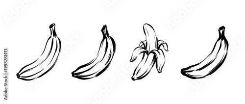 banana , Traditional Chinese Brush , strokes swirl style