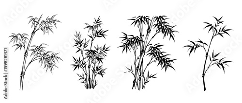 bamboo , Traditional Chinese Brush , strokes swirl style