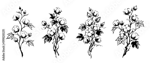 cotton plant , Traditional Chinese Brush , strokes swirl style