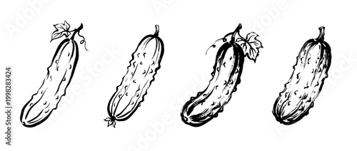 cucumber , Traditional Chinese Brush , strokes swirl style