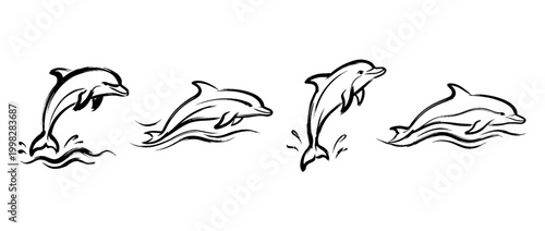 dolphin , Traditional Chinese Brush , strokes swirl style