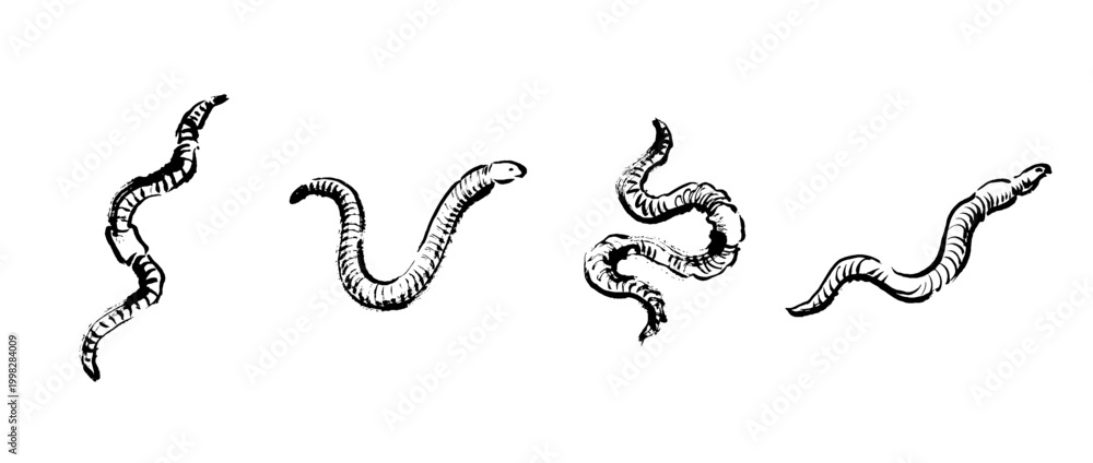Fototapeta premium earthworm , Traditional Chinese Brush , strokes swirl style