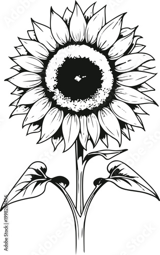 Ugly Cute Sunflower Turning Away Shy Black Line Art White Background 3