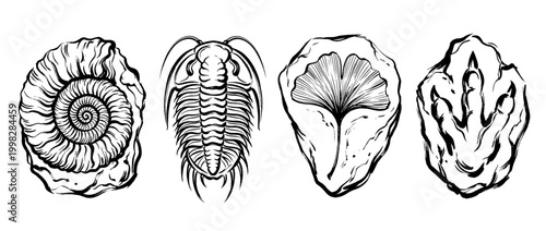 fossil , Traditional Chinese Brush , strokes swirl style