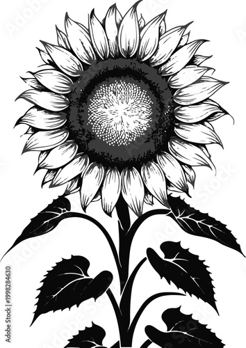 Ugly Cute Sunflower Turning Away Shy Black Line Art White Background