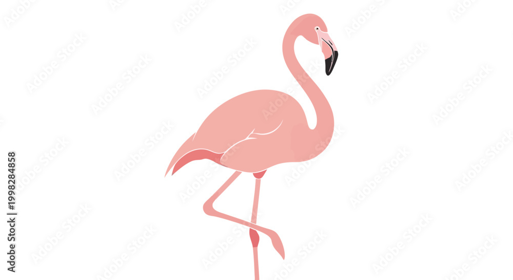 Obraz premium Pink Flamingo Bird Standing Alone.