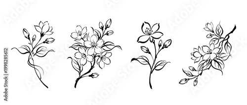 jasmine , Traditional Chinese Brush , strokes swirl style