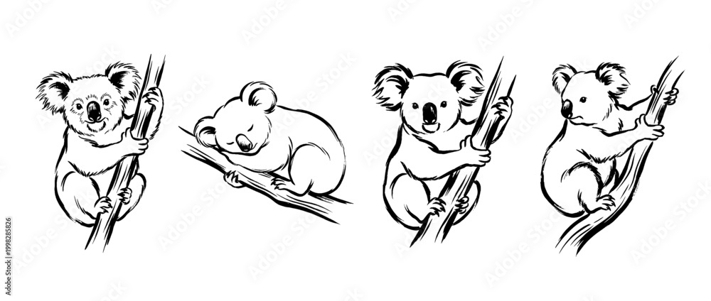 Obraz premium koala , Traditional Chinese Brush , strokes swirl style