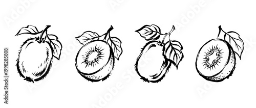 kiwi , Traditional Chinese Brush , strokes swirl style
