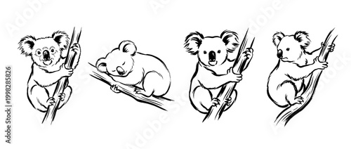 koala , Traditional Chinese Brush , strokes swirl style