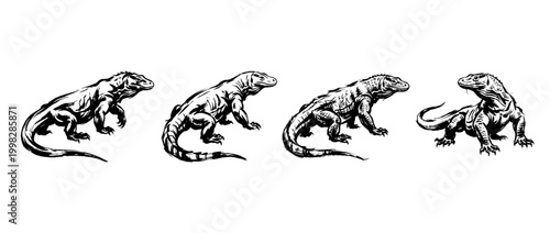 komodo dragon , Traditional Chinese Brush , strokes swirl style