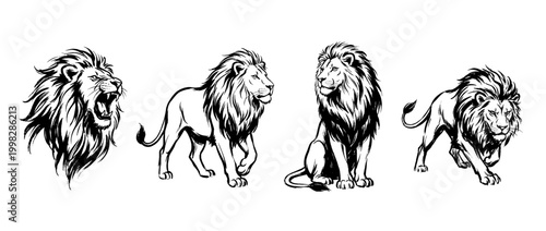 lion , Traditional Chinese Brush , strokes swirl style