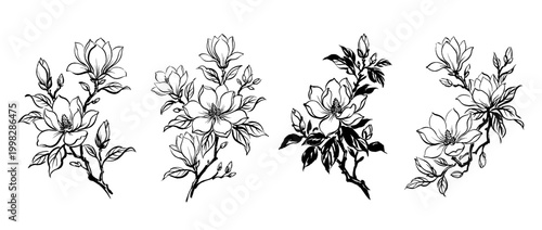 magnolia , Traditional Chinese Brush , strokes swirl style
