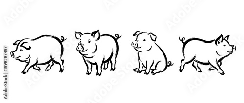 pig , Traditional Chinese Brush , strokes swirl style