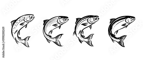 salmon , Traditional Chinese Brush , strokes swirl style