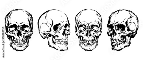 skull , Traditional Chinese Brush , strokes swirl style