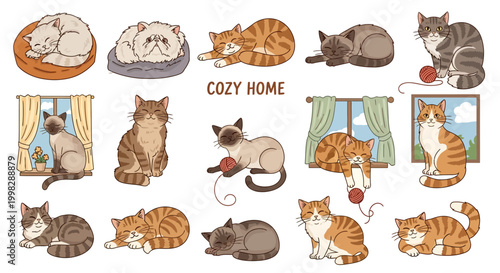 Cozy home with adorable cats and kittens sleeping playing relaxing