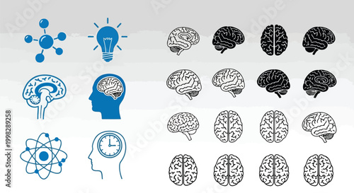 Exploring the concepts of creativity, time, science, and cognitive functions in the human brain