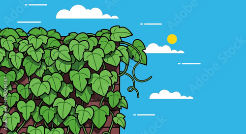 Green leafy plant with heart shaped leaves.