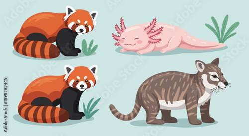 Red pandas and axolotl and cat.