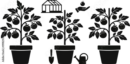 Potted Plant Growth Stages In Hand Drawn Style Set. Botanical Development, Gardening, And Plant Care Doodle Sketch Collection. Nature And Horticulture. Isolated Vector Illustration 
