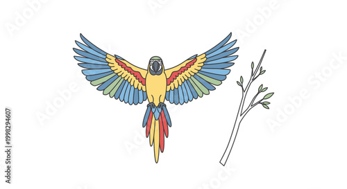 Colorful Parrot in Flight Wings Spread.