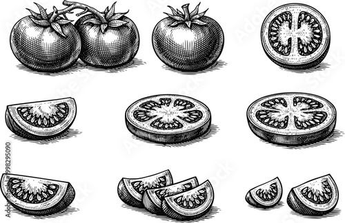 Vintage Woodcut Illustration Tomato Slices and Whole Vegetable Set Line Art