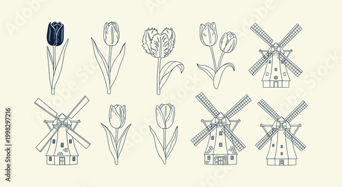 Collection of Hand Drawn Tulip Flowers and Dutch Windmills Line Art Illustrations for Floral Design
