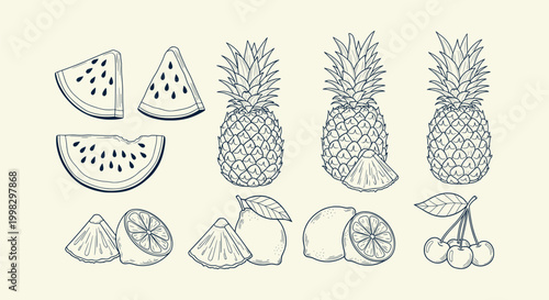 Vintage Hand Drawn Fruit Illustration Set with Pineapple Watermelon Lemon and Cherry Line Art Vector