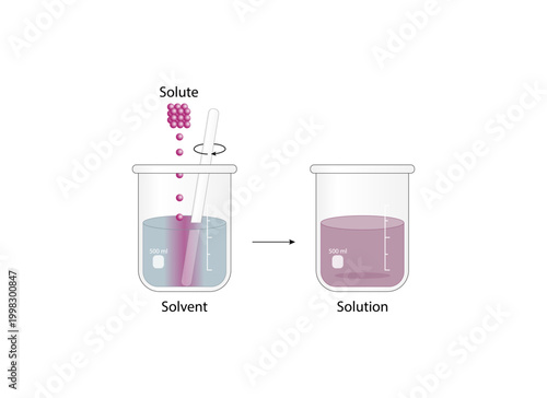 Solutions. Solubility homogeneous mixture. Solute, solvent and solution. Dissolving solids. Chemistry. Educational diagram. Beakers, isolated on white background. Vector illustration.